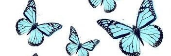 cameronacobb's profile banner image