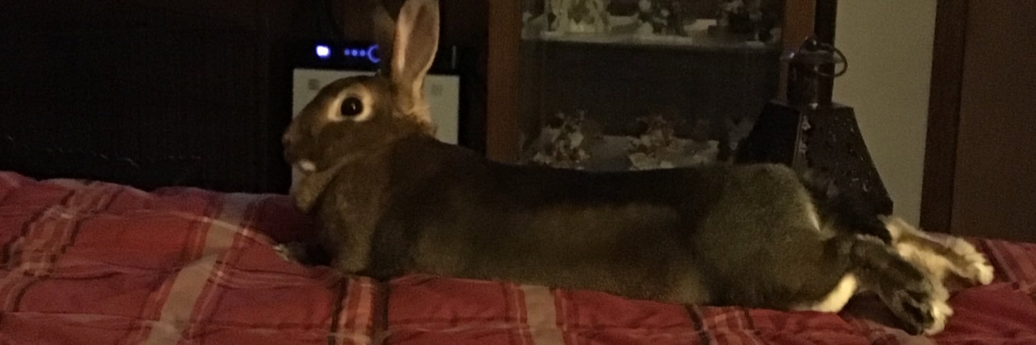 FerberBrenda's profile banner image