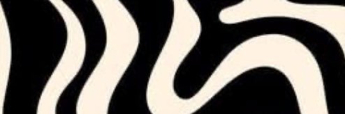 raeeeraee's profile banner image