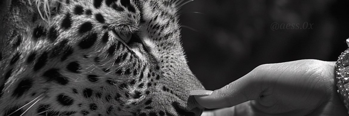 fatima_ebrahim1's profile banner image