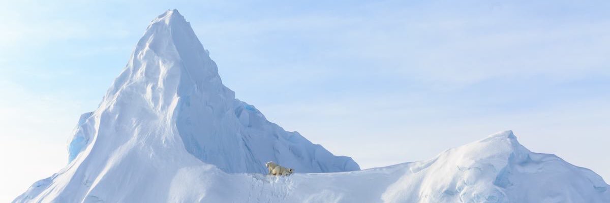 CFMaggi's profile banner image