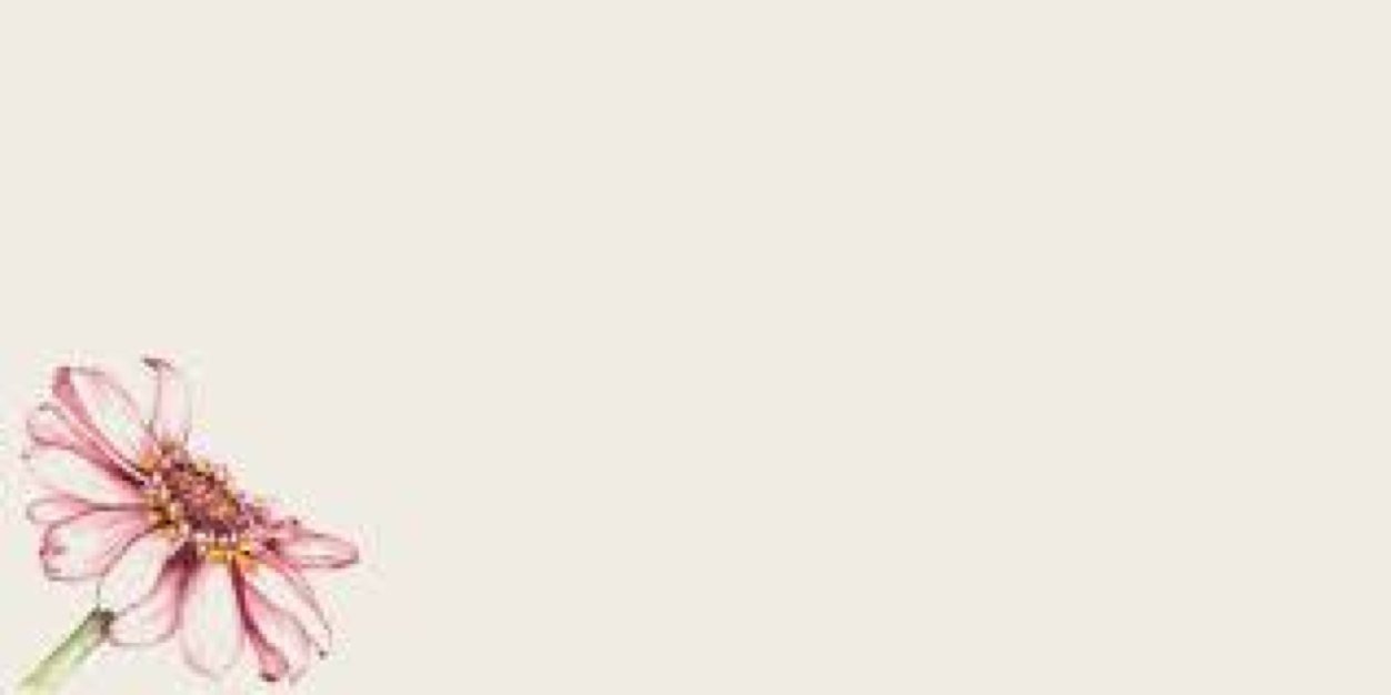 14Trkyah's profile banner image
