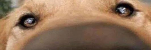 AlexGabrielLoL's profile banner image