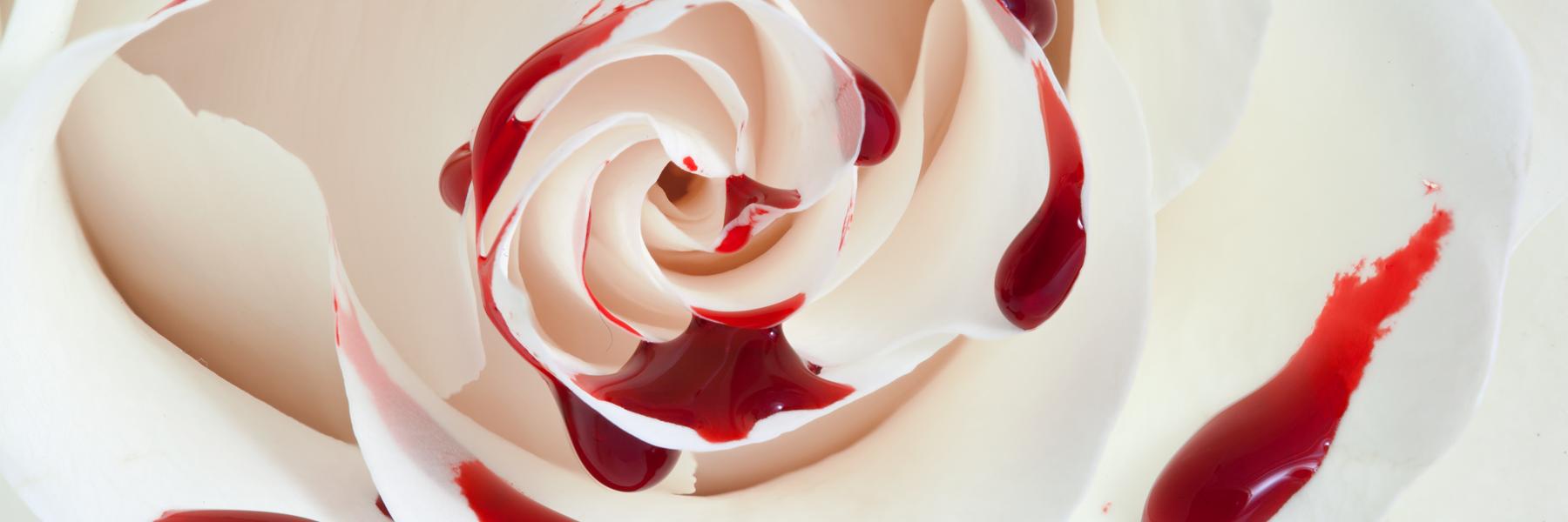 gnosia23's profile banner image