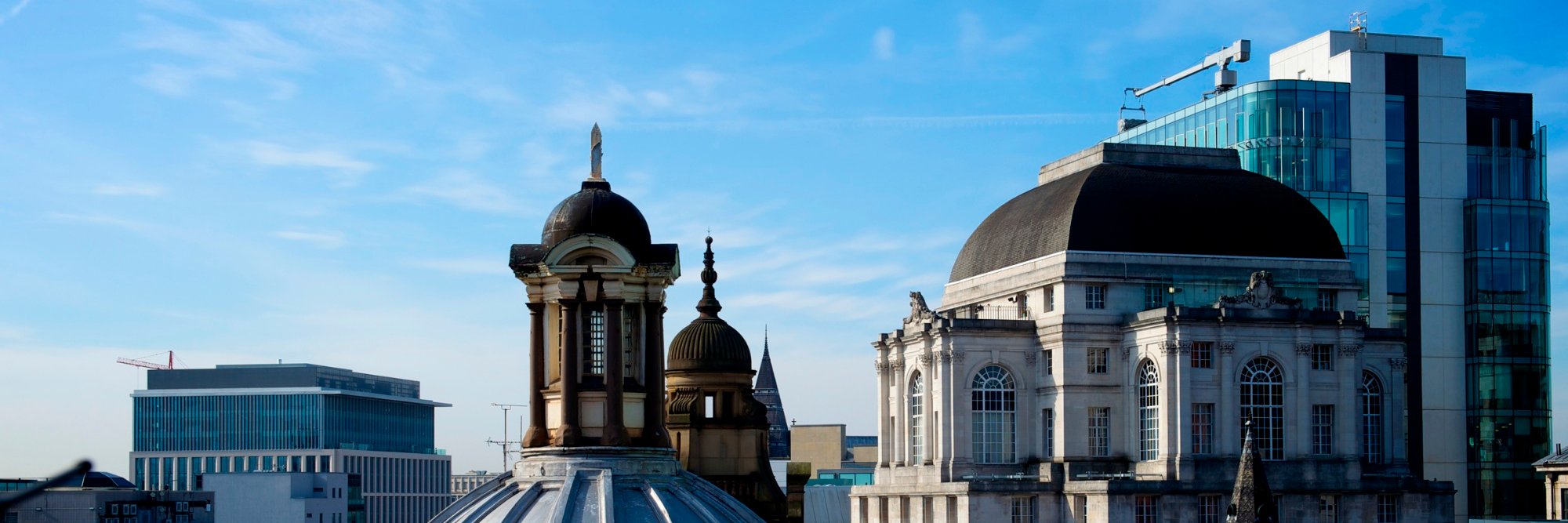 Katie Higgins banner