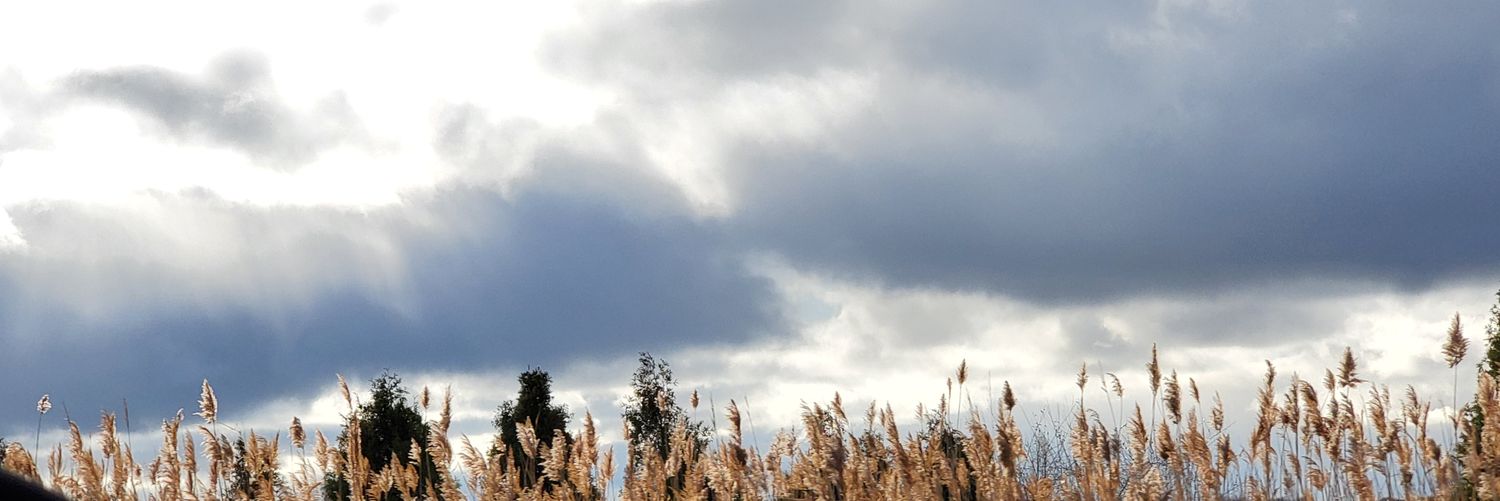 OfficialEveG's profile banner image
