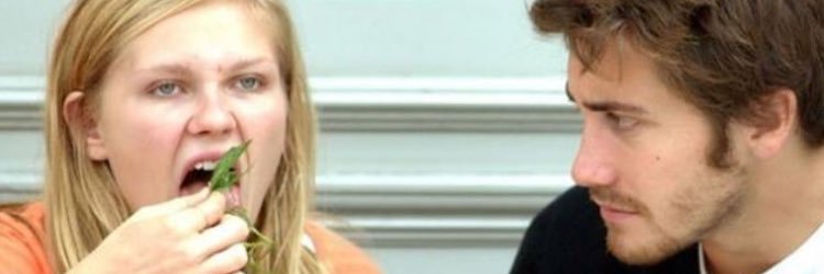 caroritchie's profile banner image