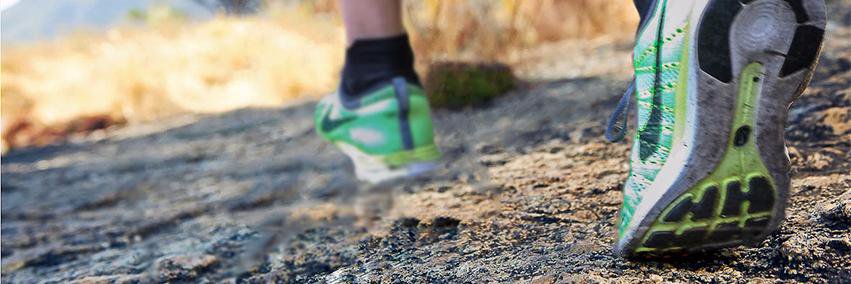 Sunderland Harriers banner