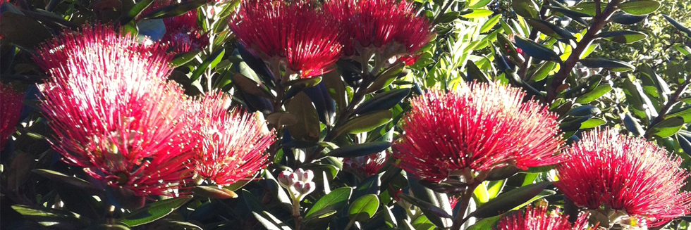 WomensHealth_NZ's profile banner image