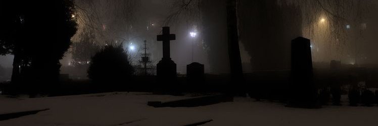 xNemoSZN's profile banner image