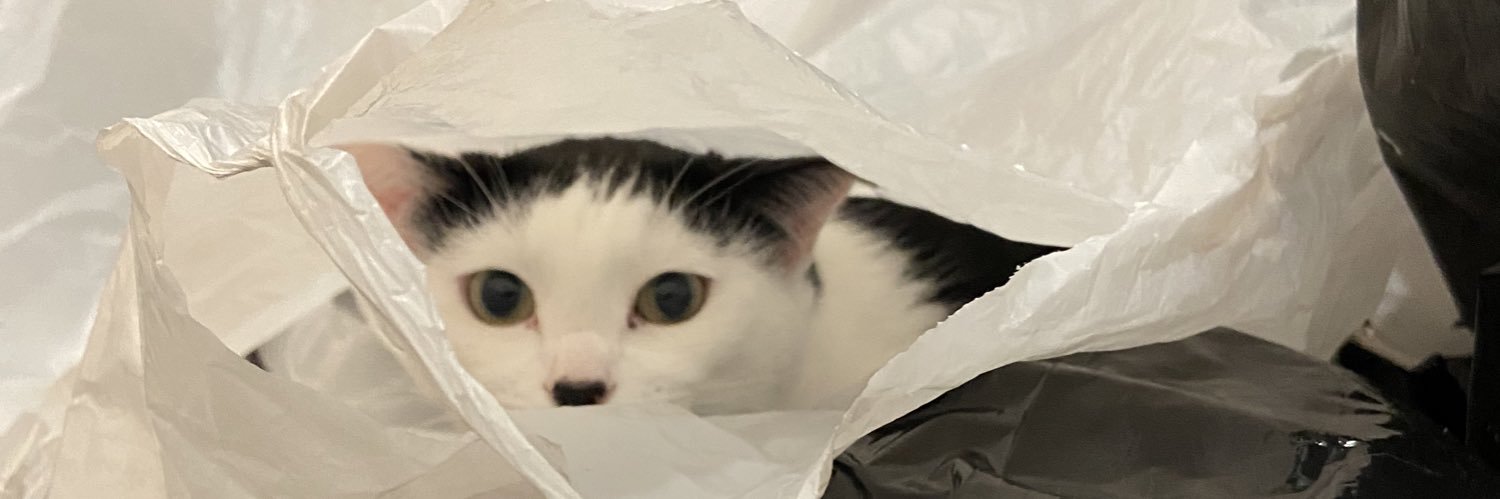 NyomisMess's profile banner image