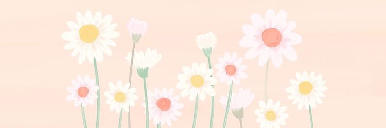 Fabiola Bravo banner