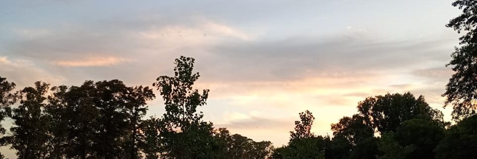 Miqueaslm's profile banner image