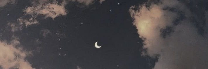 daianaschaffer's profile banner image