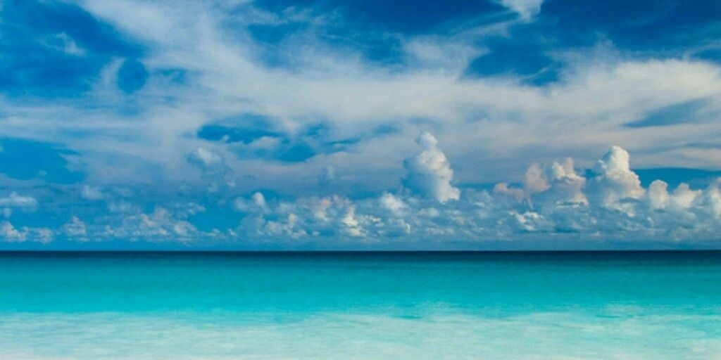 ALizOB825's profile banner image