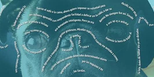 microrelatos's profile banner image