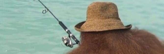 Paulie Meatballs banner