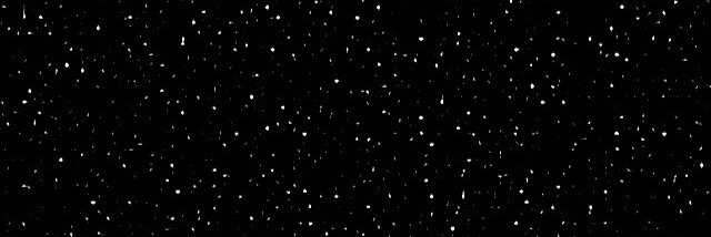 Larii__ssa's profile banner image