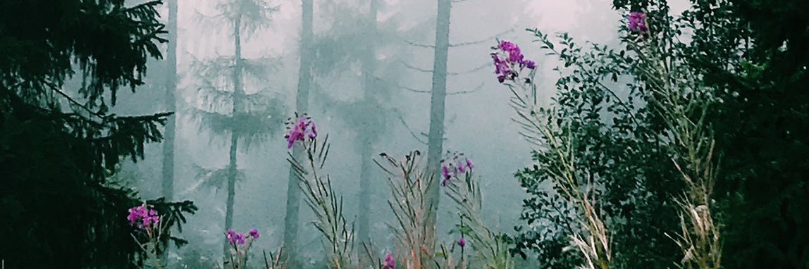 ziaaaad111's profile banner image