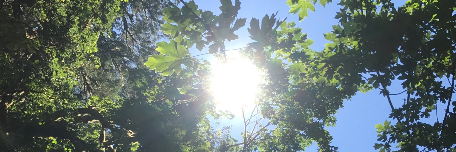 CiennaCp's profile banner image