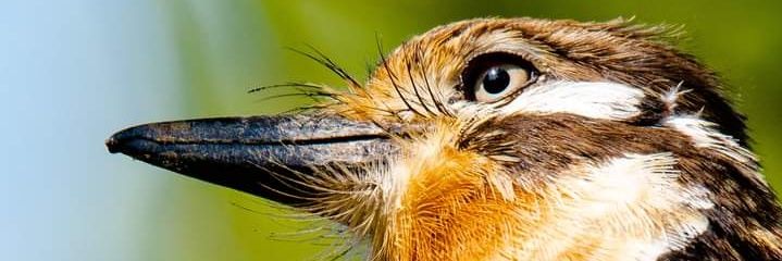 jaimearnache's profile banner image