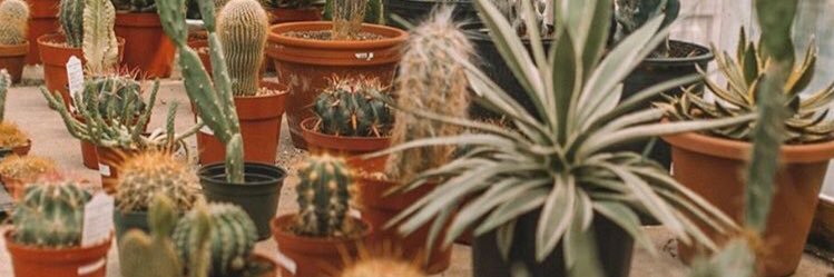 hanthony95's profile banner image