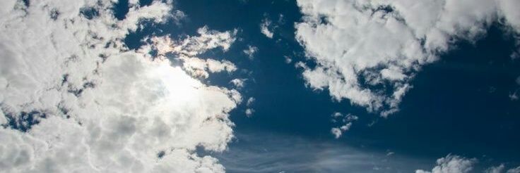 Andrea ⁷ banner
