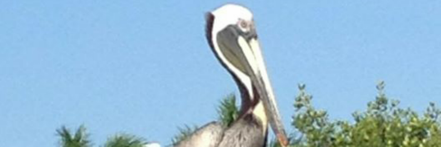 WeaverJ72's profile banner image