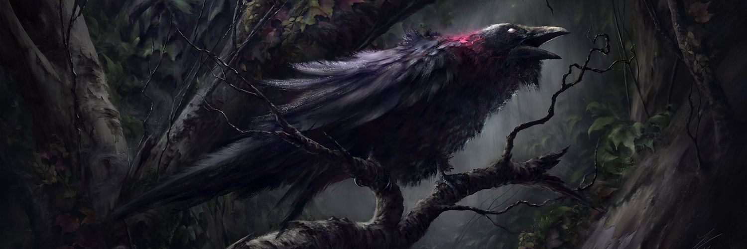 ladyinthestacks's profile banner image