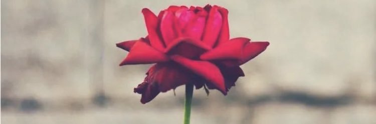 MarichuColion's profile banner image