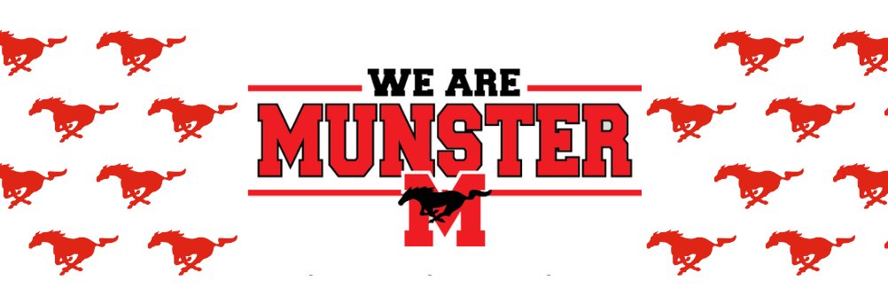 STM banner