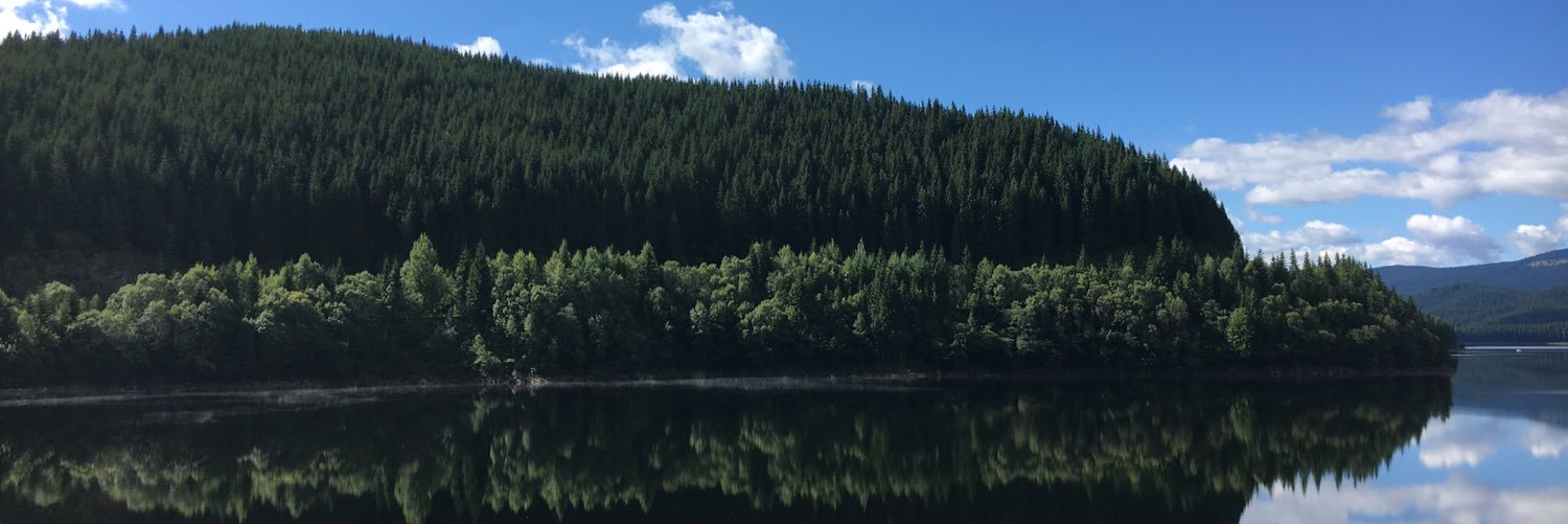 dibala98's profile banner image