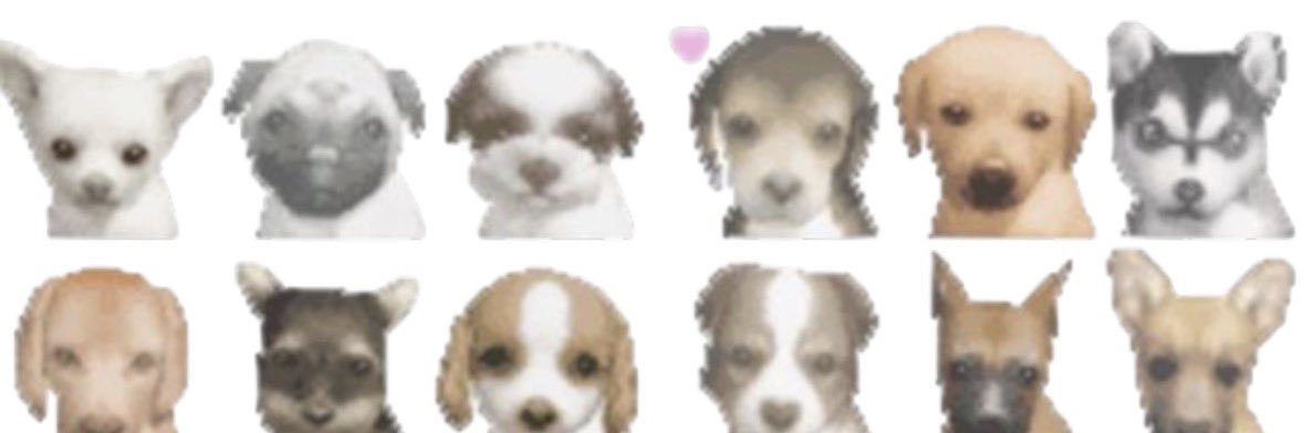 latexlez's profile banner image