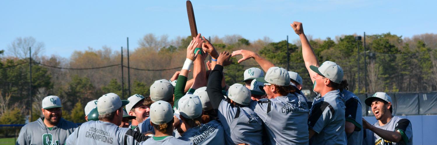 Old Westbury Panthers banner