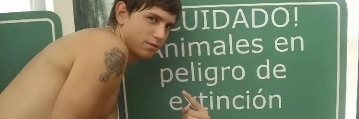 japetonisa's profile banner image