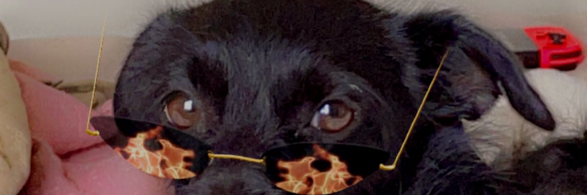 rip_kimmy's profile banner image