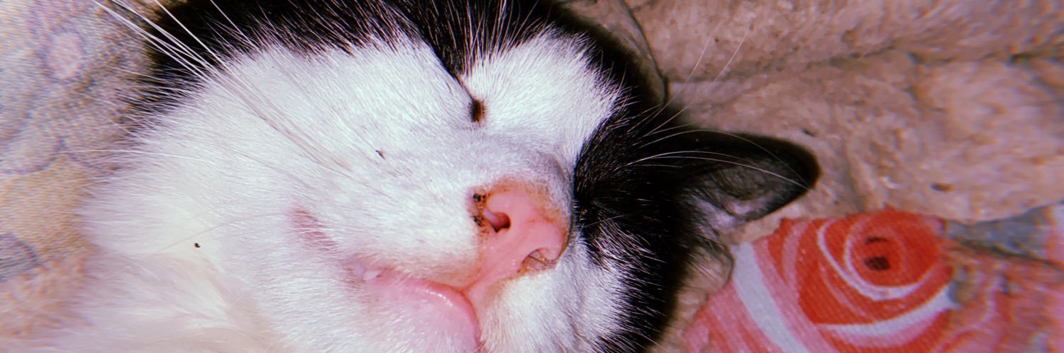 Themhdzkr1's profile banner image