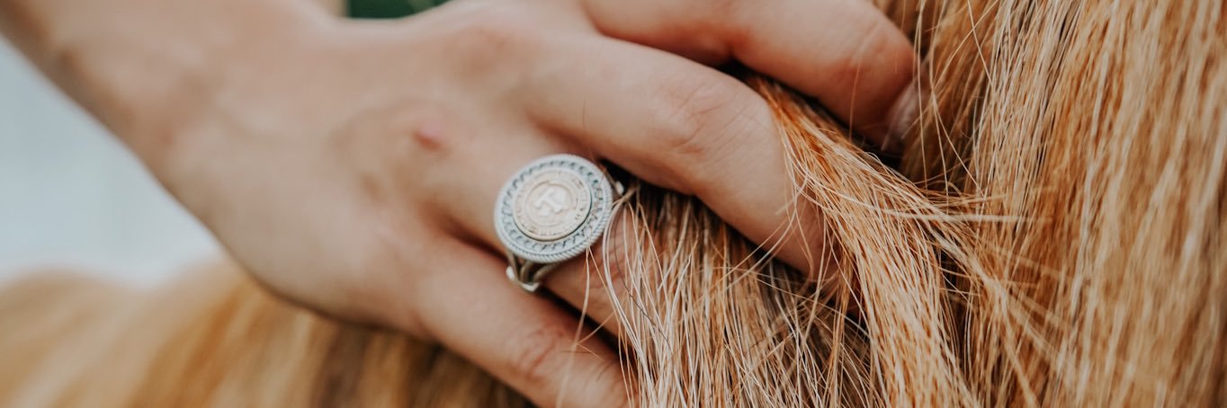 abby_eilers's profile banner image