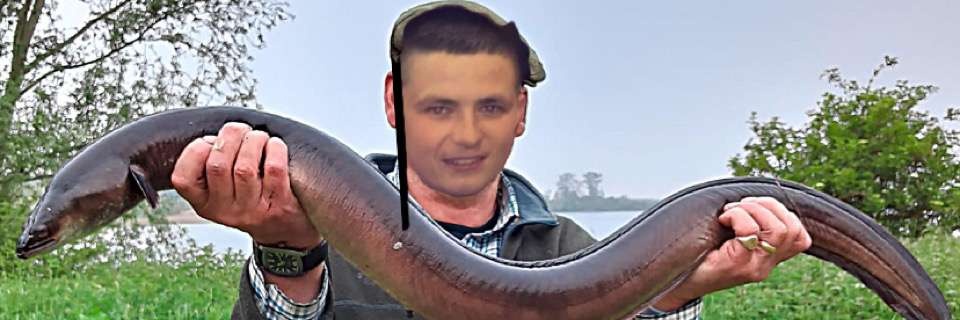 Niall McKeever banner