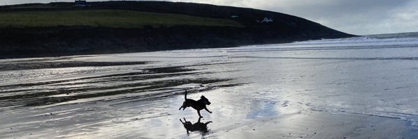 Smurphette85 Profile Banner