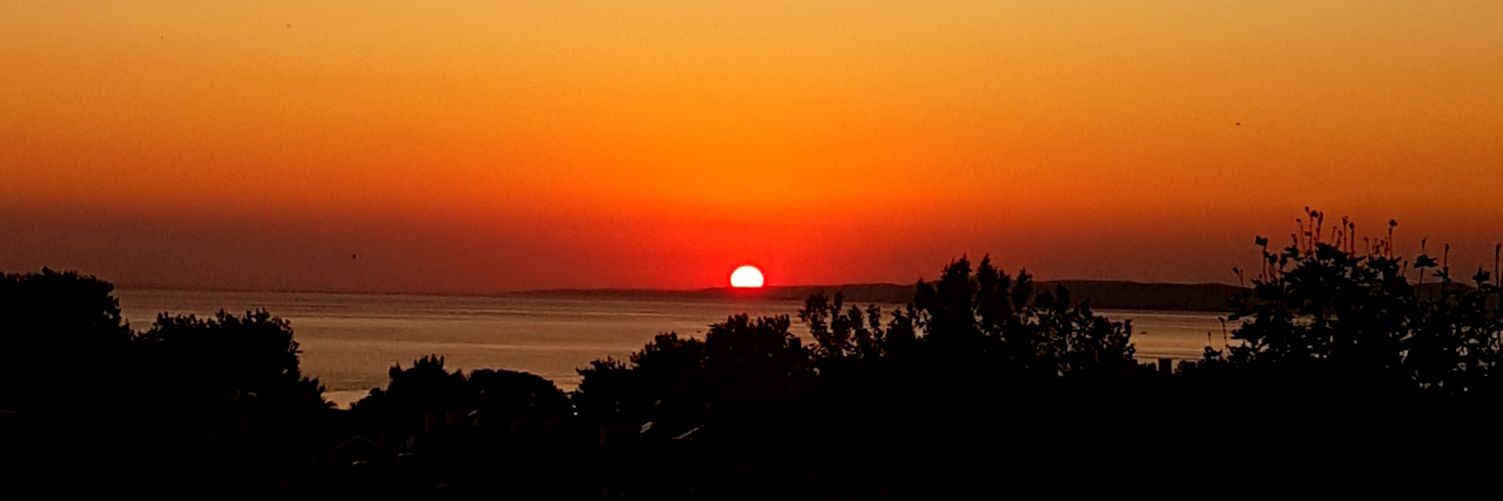 xnalyecx's profile banner image