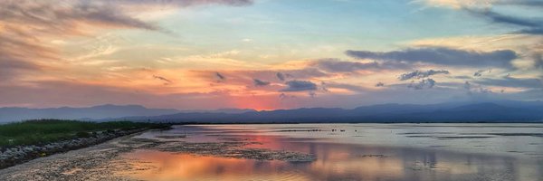 _Quim Profile Banner