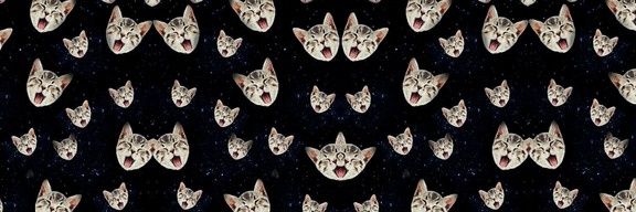 larishimi's profile banner image