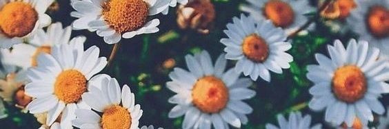 AcuaSabri's profile banner image
