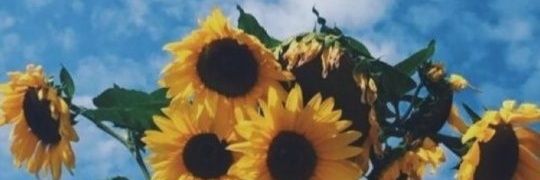 vousmevoyez banner