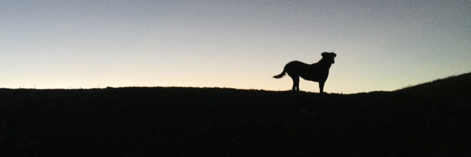 coltkoslowski's profile banner image