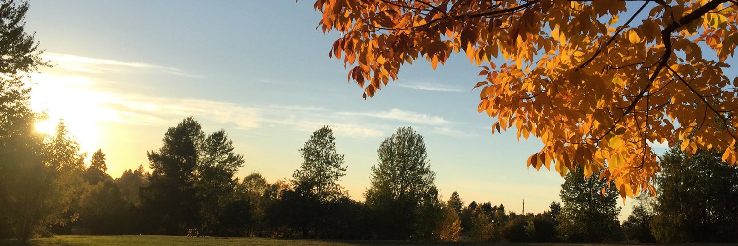 mittenpawsduh's profile banner image