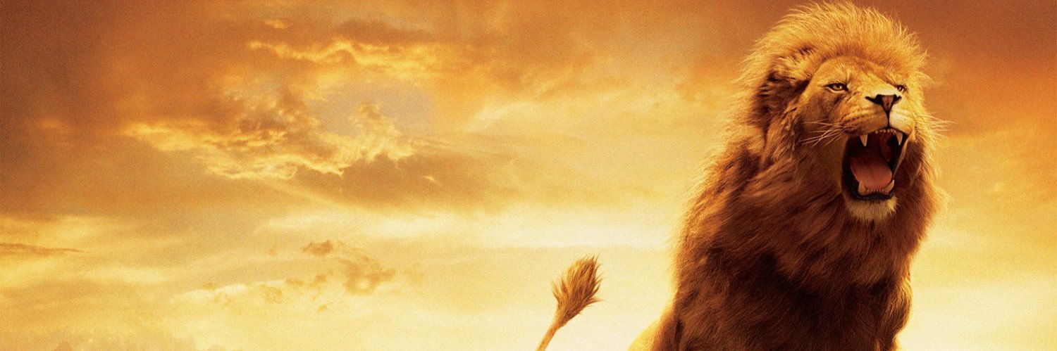 iamhal2009's profile banner image