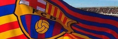 nerelex's profile banner image