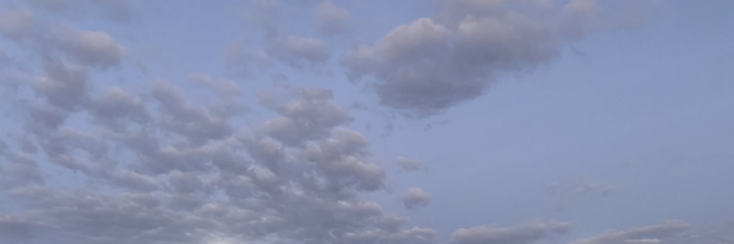 DanielaSaray__'s profile banner image